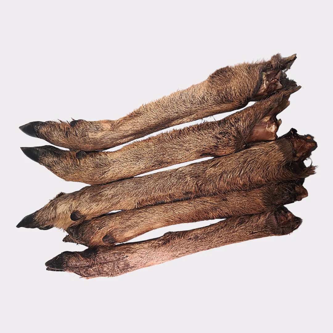 Venison Legs (with fur)