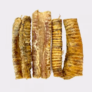 Trachea (Beef) 24cm