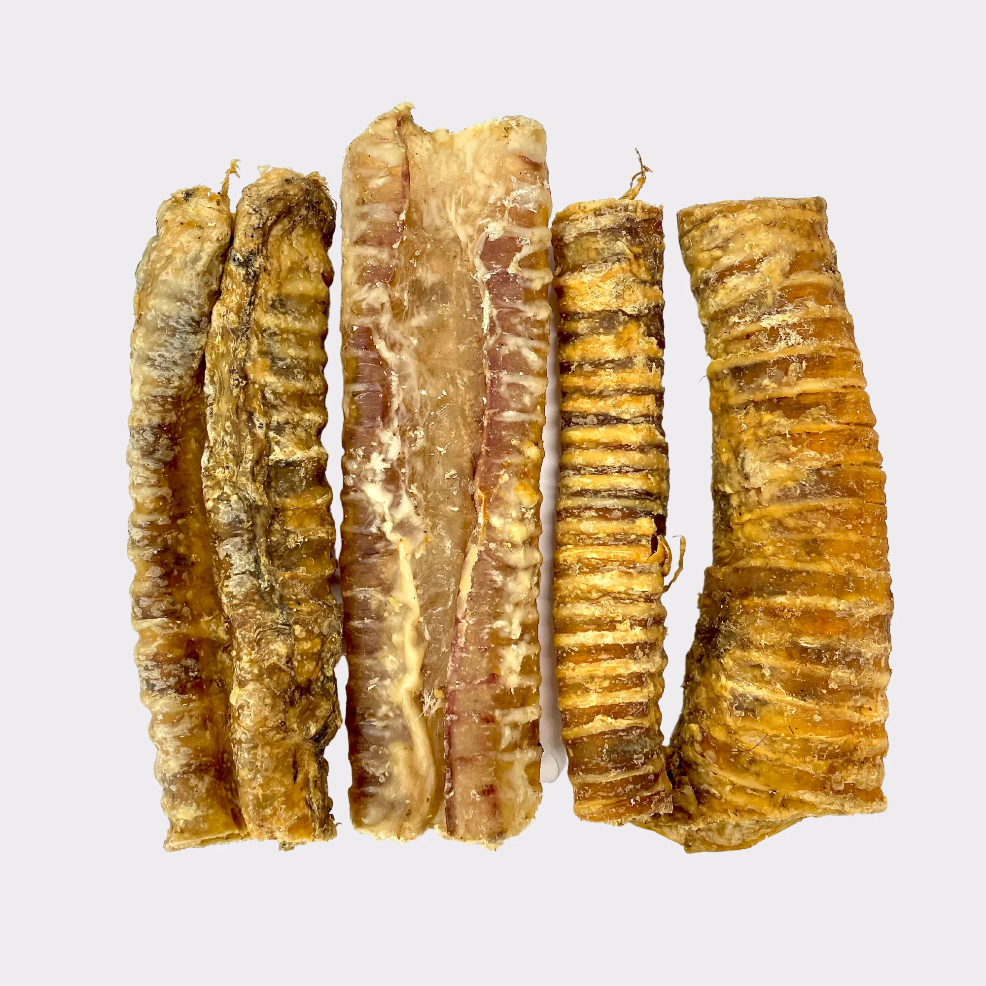 Trachea (Beef) 24cm