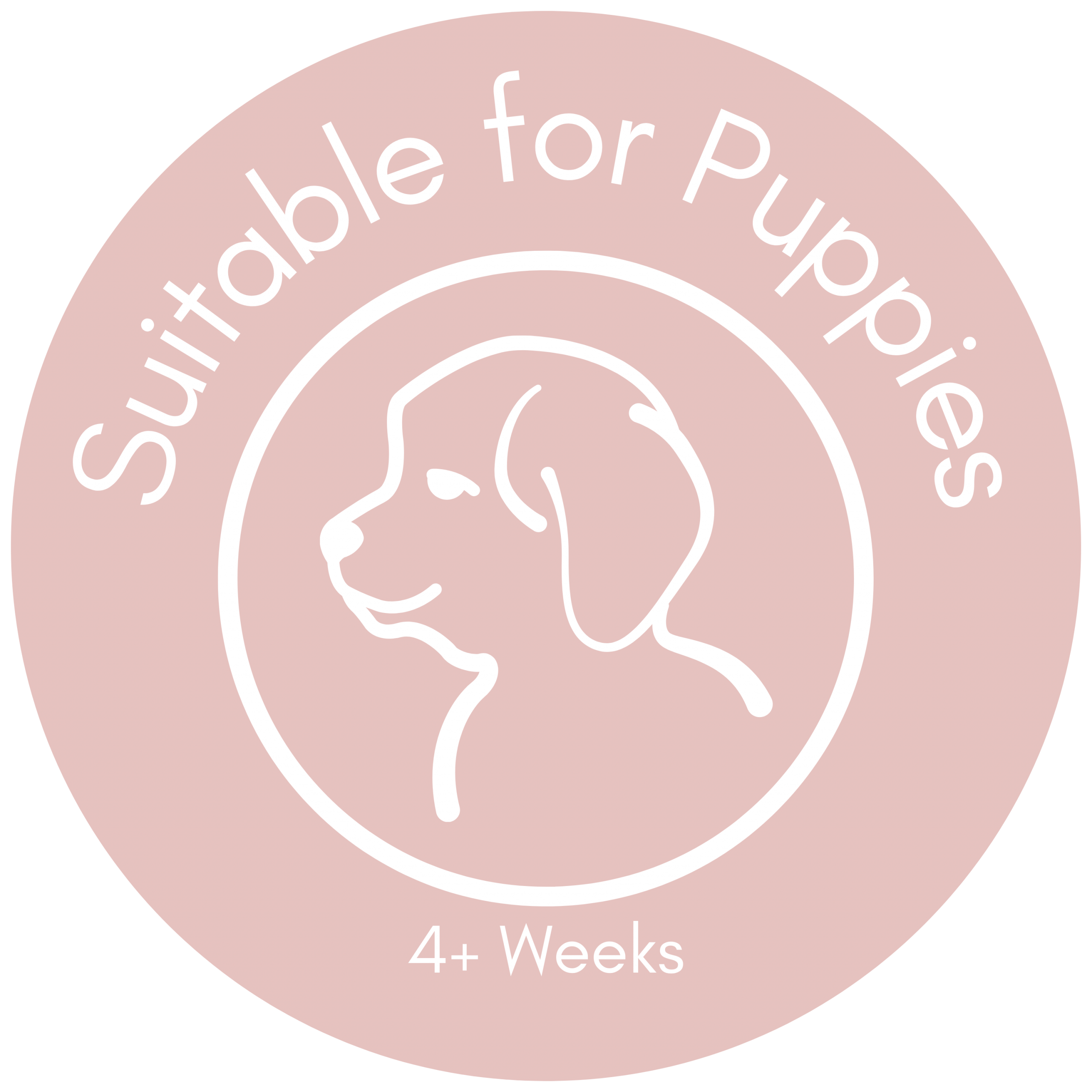 Venison Gourmet Sausages ( 250g ) - Image 3