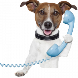 kisspng-dog-pet-sitting-telephone-stock-photography-mobile-5ae86cf55191c7.6663989915251816853341